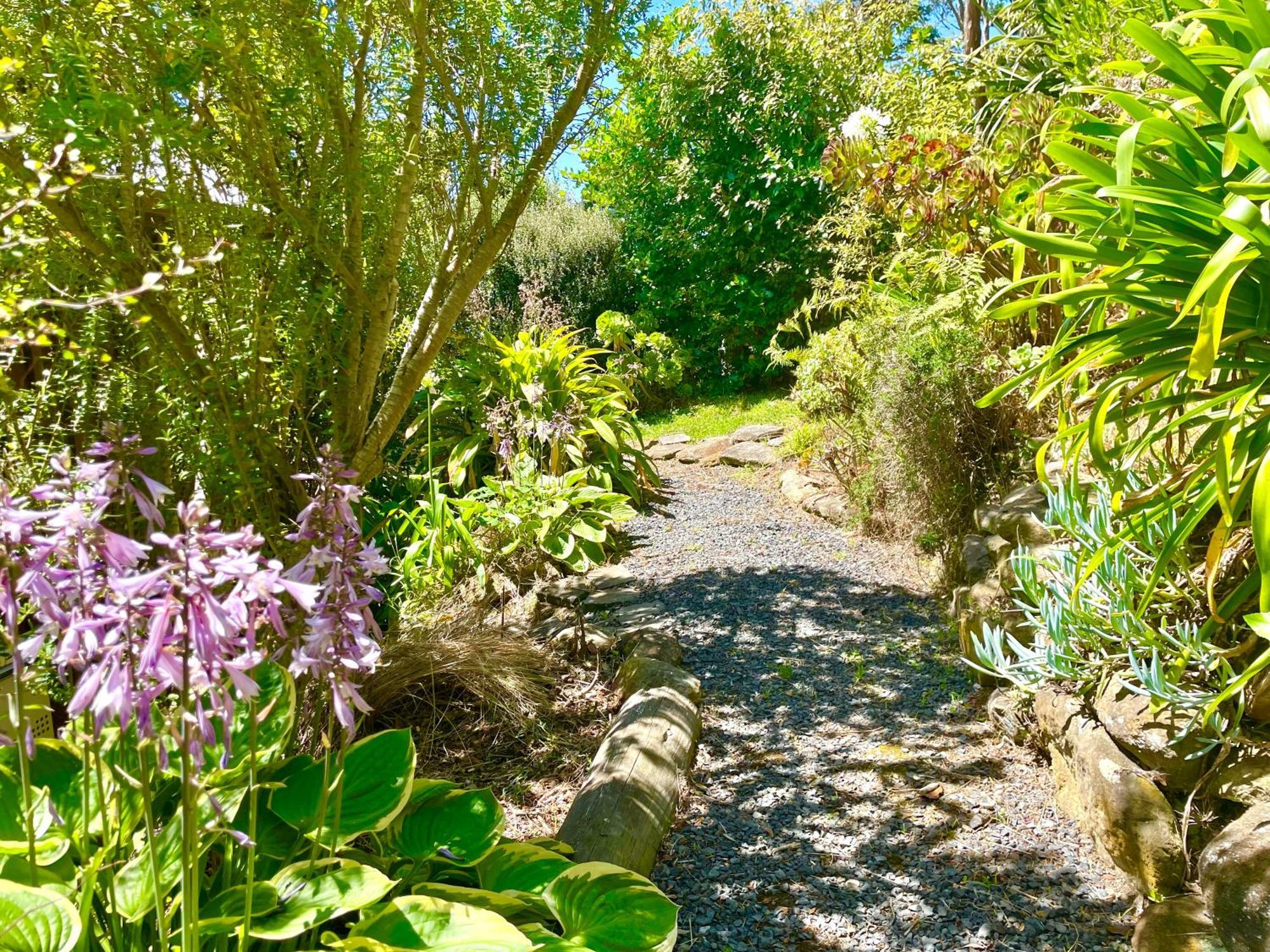 The Cove Cabin - Your Quiet Escape Dunedin Luaran gambar